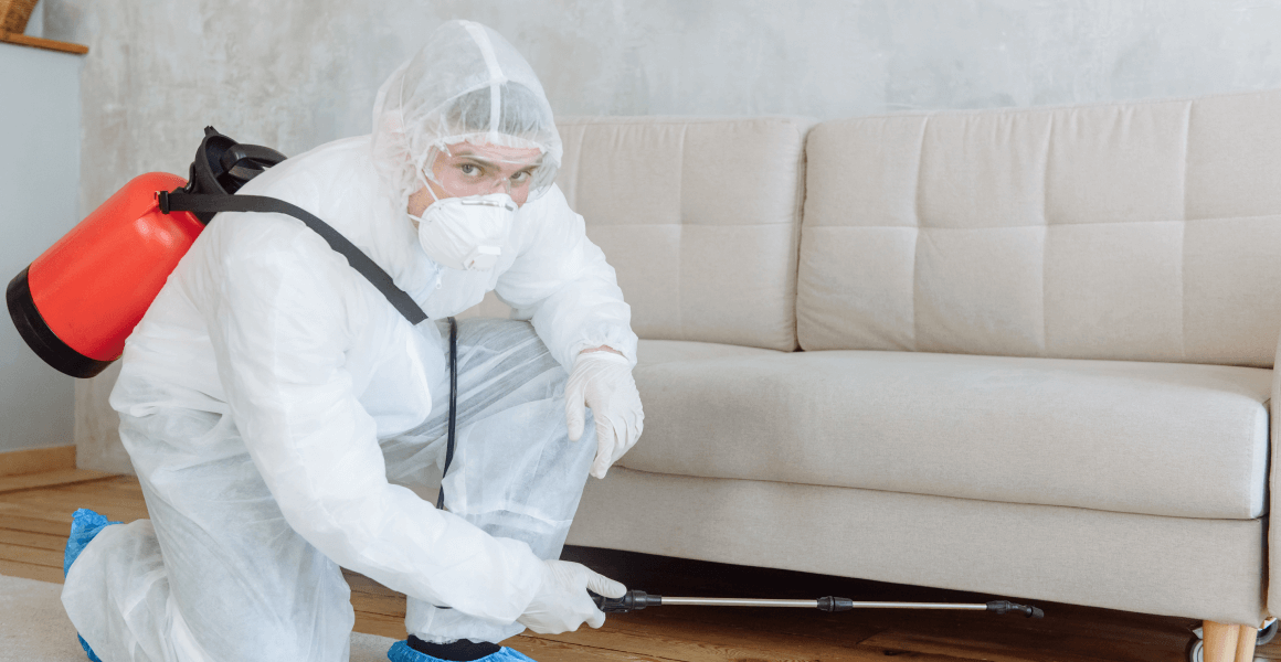 Tips On Finding The Best Maid Cleaning Service